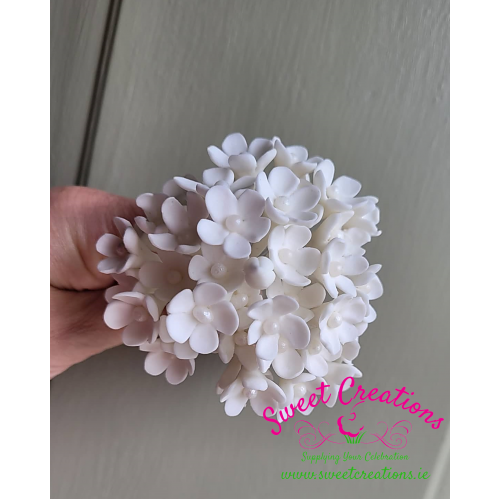 White Filler Flowers